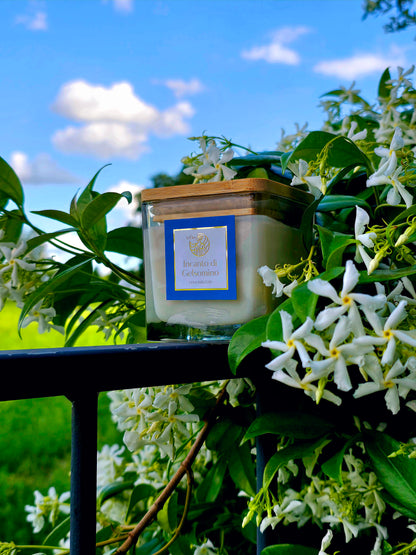 Incanto di Gelsomino