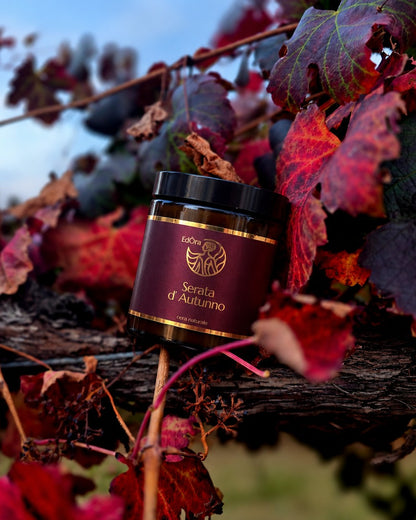 Serata D'Autunno tra le foglie rosse della vigna in autunno